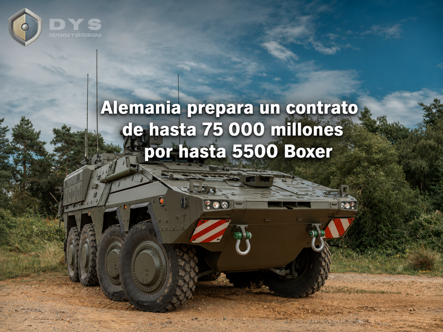 portada boxer dys