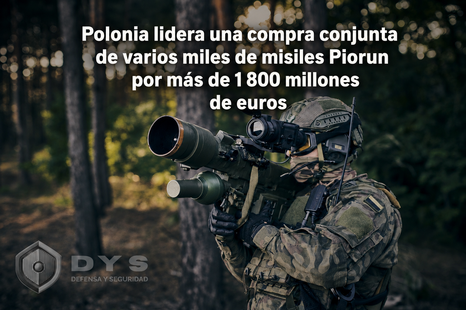 portada piorun dys