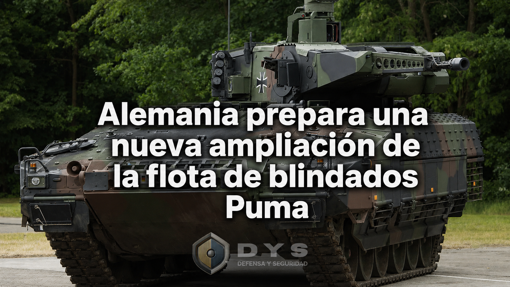 portada puma dys